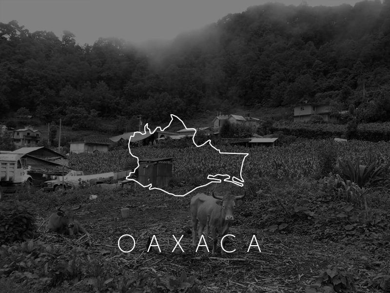 Oaxaca